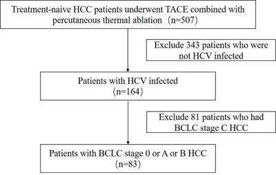 Percutaneous thermal ablation combined with transcatheter arterial chemoembolization for hepatitis C virus-related hepatocellular carcinoma: Efficacy and survival